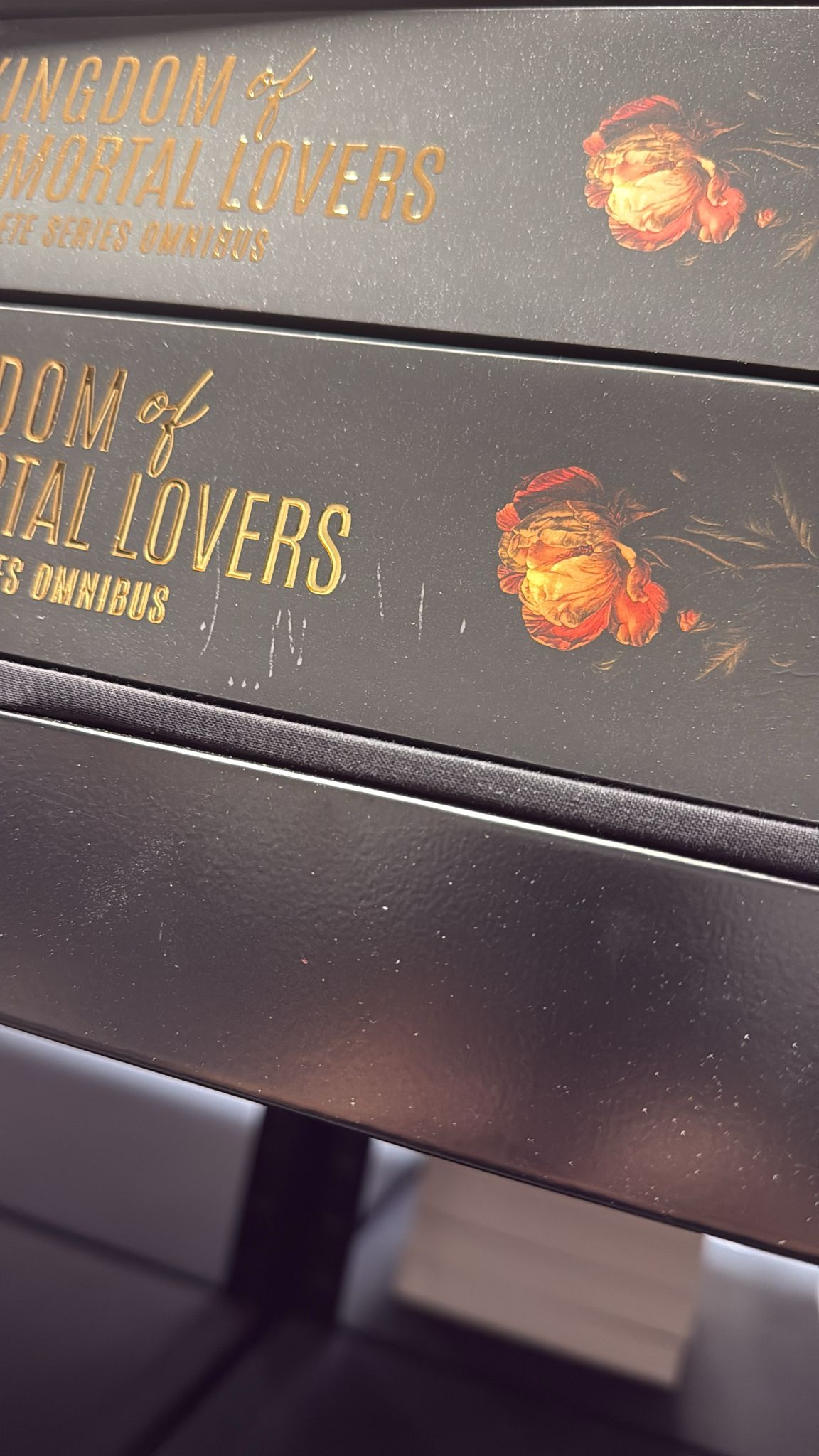Perfectly Imperfect: Kingdom of Immortal Lovers Foiled Omnibus